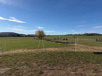Trekové ustájení - Paddock Paradise - 7