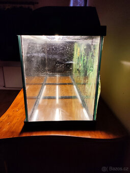 Akvárium cca 100x40x30cm + topení+příslušenství - 7