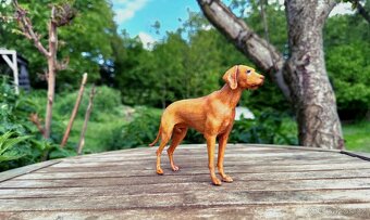 3D fotografie a figurky domácích mazlíčků - 7