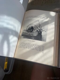 Brehmův život zvířat - 7