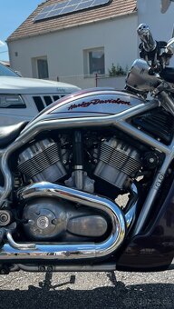Harley - Davidson, Street Rod ( VR2 ) VRSCR ( dvoubarva ). - 7