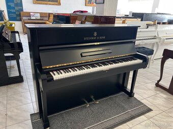 Steinway &Sons se zárukou 2 roky, doprava zdarma. - 7