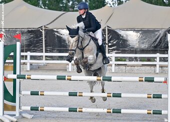 Pony valach do sportu - 7