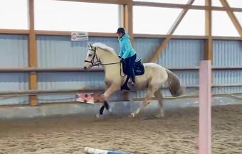 Charakterní a jednoduchý valach - 7