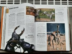 Prodám knihu 1000 DIVŮ PŘÍRODY. - 7