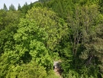 Prodej lesní pozemek, 7 184 m², Koryčany, Kroměříž - 7