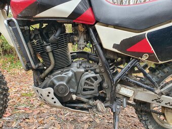 Suzuki DR 650 Djebel 1990 - 7