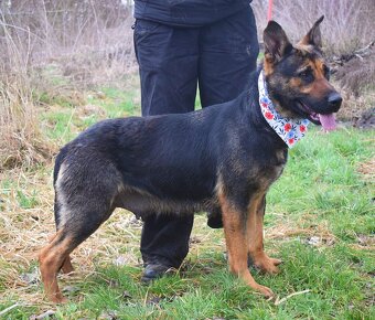 Frederika – hledá milující domov - 7