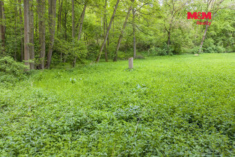 Prodej lesa, 491 m², Bohouňovice I - 7