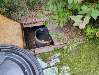 Zahrada v Zákupech - 7