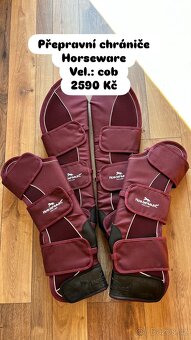 Spousta nových věcí na koně - 7