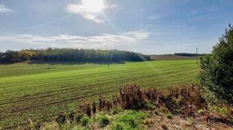 Stavební pozemek se sítěmi D17-Hrušovany u Brna- 988 m2 - 7