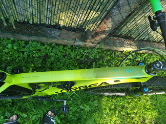Orbea Alma M30 Carbon L-/Fox/Sram GX Eagle/DT Swiss/ - 7