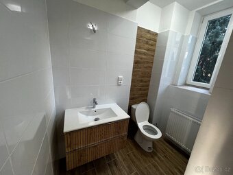 Pronájem bytu 1+1 (52 m2) - 7