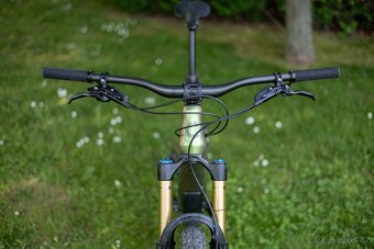 Cannondale Jekyll 1 - 7