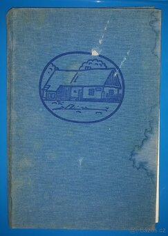 Pohádky - Popelka, Felix a Medvídek Pú aj. - 7