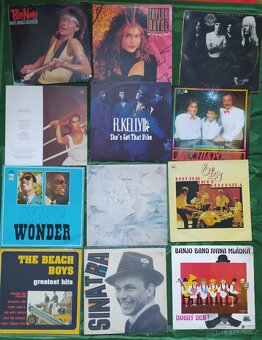 LP gramofonové desky - 7