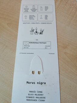 MORUŠE BÍLÁ A ČERNÁ - 7
