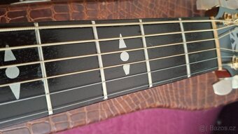 Prodám elektroakustickou kytaru FURCH D23-CR - 7