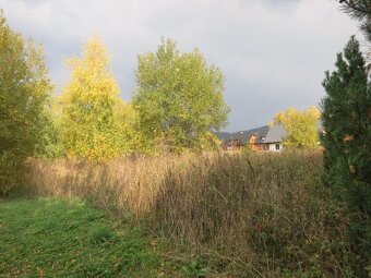 Prodej stavební parcely 1123 m3 Loučná nad Desnou Kociánov - 7