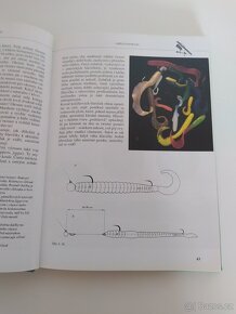Rybářství - Lov dravých ryb - Jacek Kolendovicz - 7