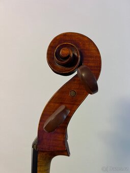 Violoncello - 7