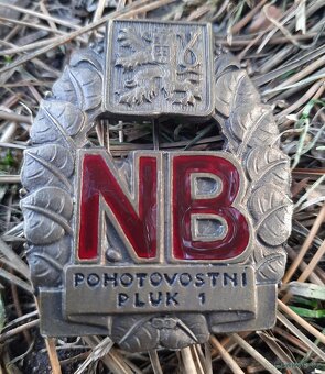 vojenský odznak - 7