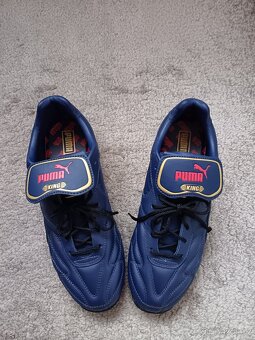 Botasky Puma 40 - 7