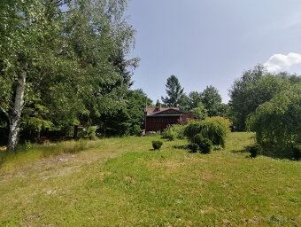 Prodej pozemku k možné výstavbě nové chaty/chalupy, Borušov - 7