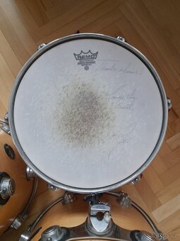 DW drums bubny 5ks, all maple shell - 7