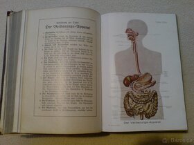 Domácí lékařka z roku cca 1930 - DR. Jenny Springer - 7