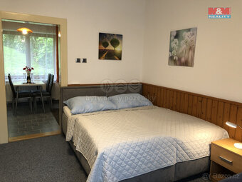 Prodej apartmánů a rodinného domu Česká Skalice - Zlíč - 7