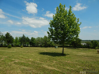 Syrovice, prodej pozemku 3307 m2 - 7