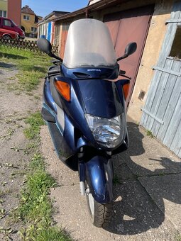 Dily Honda Pantheon 2t. - 7