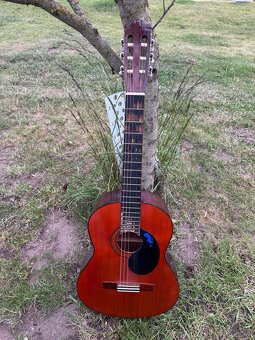 KYTARA SANTANA C-102 + STRUNY. - 7