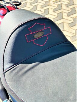 Harley - Davidson Sportster Iron 883 - 7