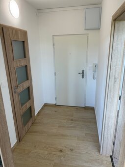 Pronájem bytu 1+1 33m2 Žamberk Dlouhoňovice - 7