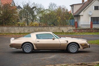 Pontiac Firebird  1977 - 7