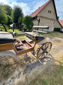 Koňská bryčka - 7