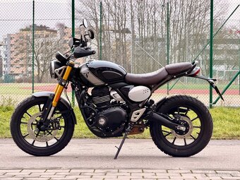 Triumph Scrambler 400 X - 7