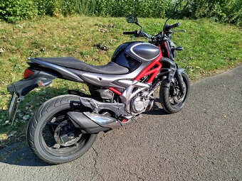 Suzuki SFV 650 Gladius 35kW - 7