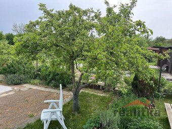 REZERVACEPronájem zahrádky 200m2, Opava, Kylešovice - 7