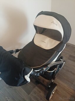 Camarelo alicante - 7