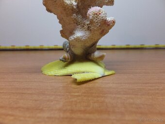 Retro dekorace s pravého mořského korálu a mušlí. - 7