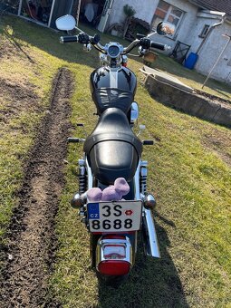 HD Sportster xl custom 883 - 7