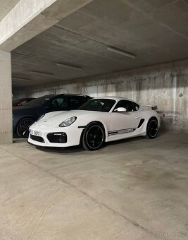 Porsche Cayman GT4/987 "Panda" Techart - 7