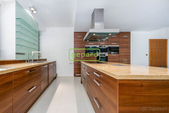 Vícegenerační samostatná vila 636m2, s pozemkem 2478m2, Koun - 7