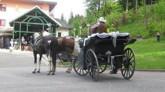 KOČÁR za koně - SLEVA - 7