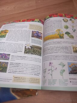 Hravý zeměpis a dějepis - učebnice 7. ročník - TAKTIK - 7