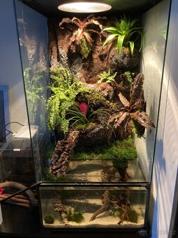 Terárium/Paludárium ReptiPlanet 45x45x90cm s 3D pozadím - 7